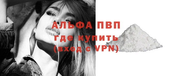 гашик Гусь-Хрустальный