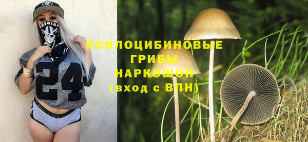 2c-b Горняк