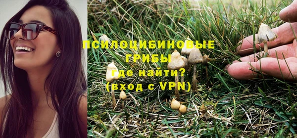 2c-b Горняк