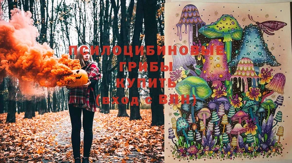 2c-b Горняк