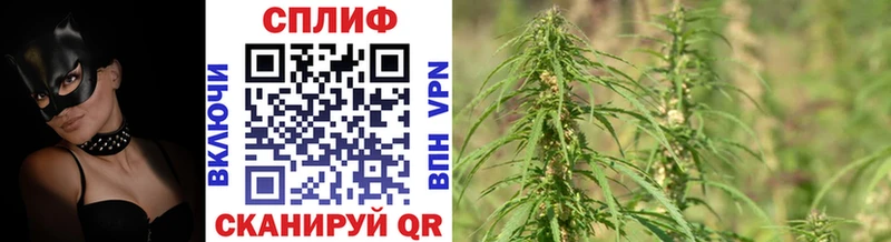 Купить где  Дзержинский  Бошки Шишки марихуана 